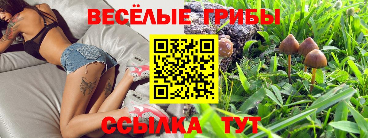 Псилоцибиновые грибы прущие грибы  Вход с VPN  Нягань 