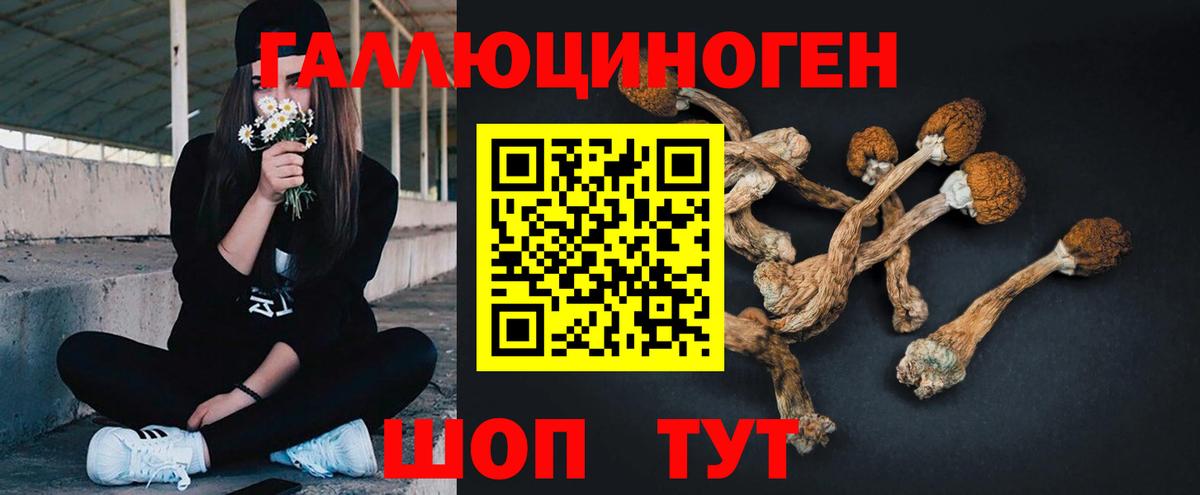 Псилоцибиновые грибы мухоморы Нягань